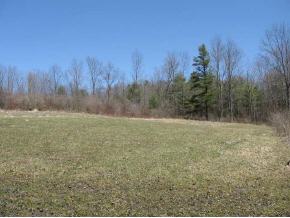 0 Mount Pleasant Road Nichols, NY 13812 - Photo 8 of 12 Gallery Image 8