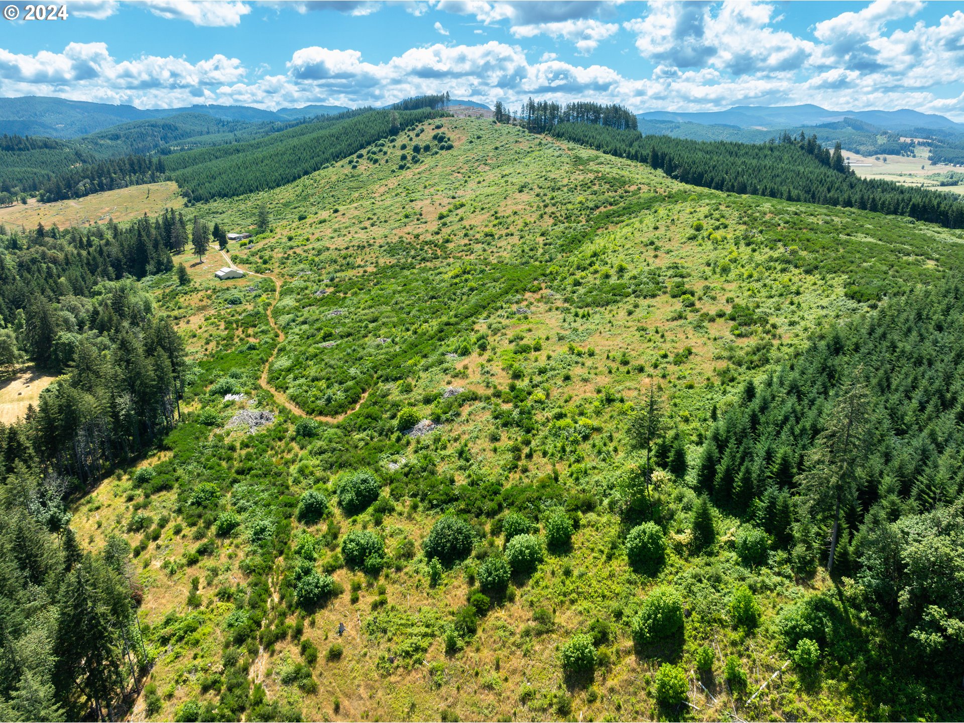 699 Cox Road Yoncalla, OR 97499 - Photo 13 of 35 a view of a green field with lots of bushes