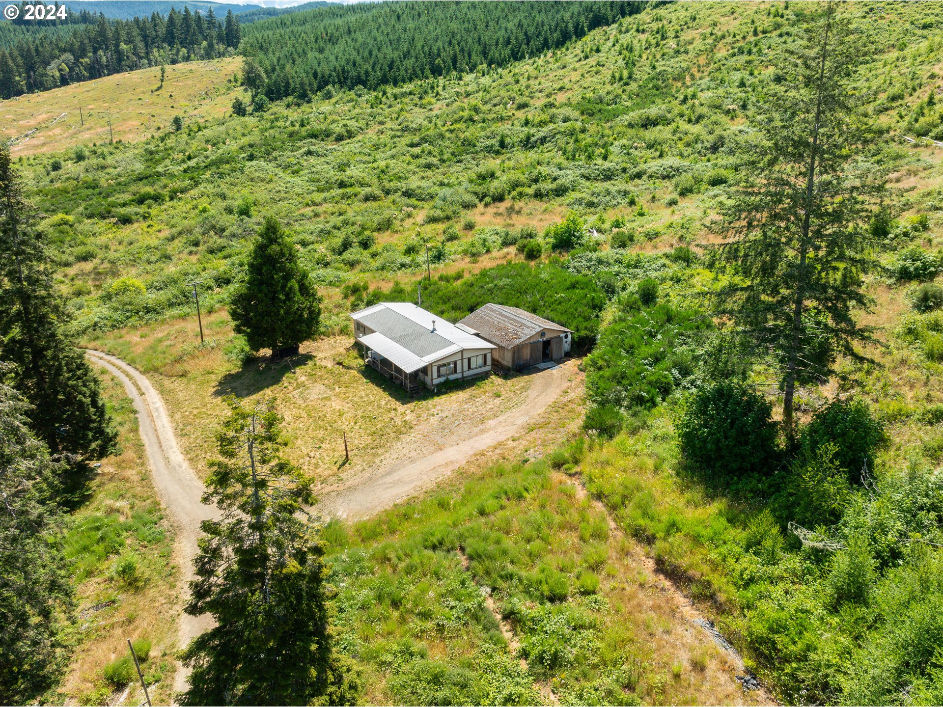 699 Cox Road Yoncalla, OR 97499 - Photo 15 of 35 a view of a yard with plants