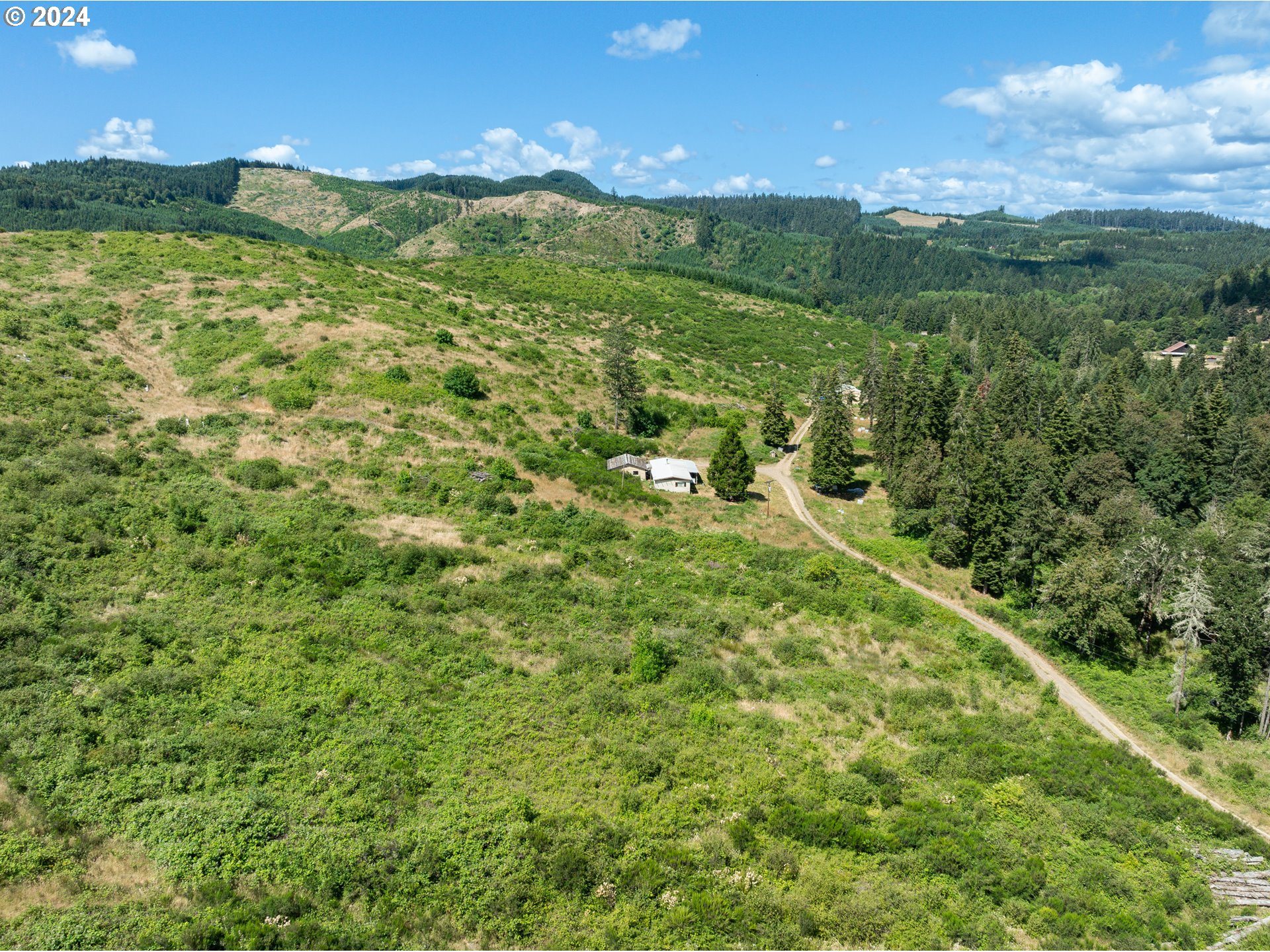 699 Cox Road Yoncalla, OR 97499 - Photo 28 of 35 a view of a big yard with large trees