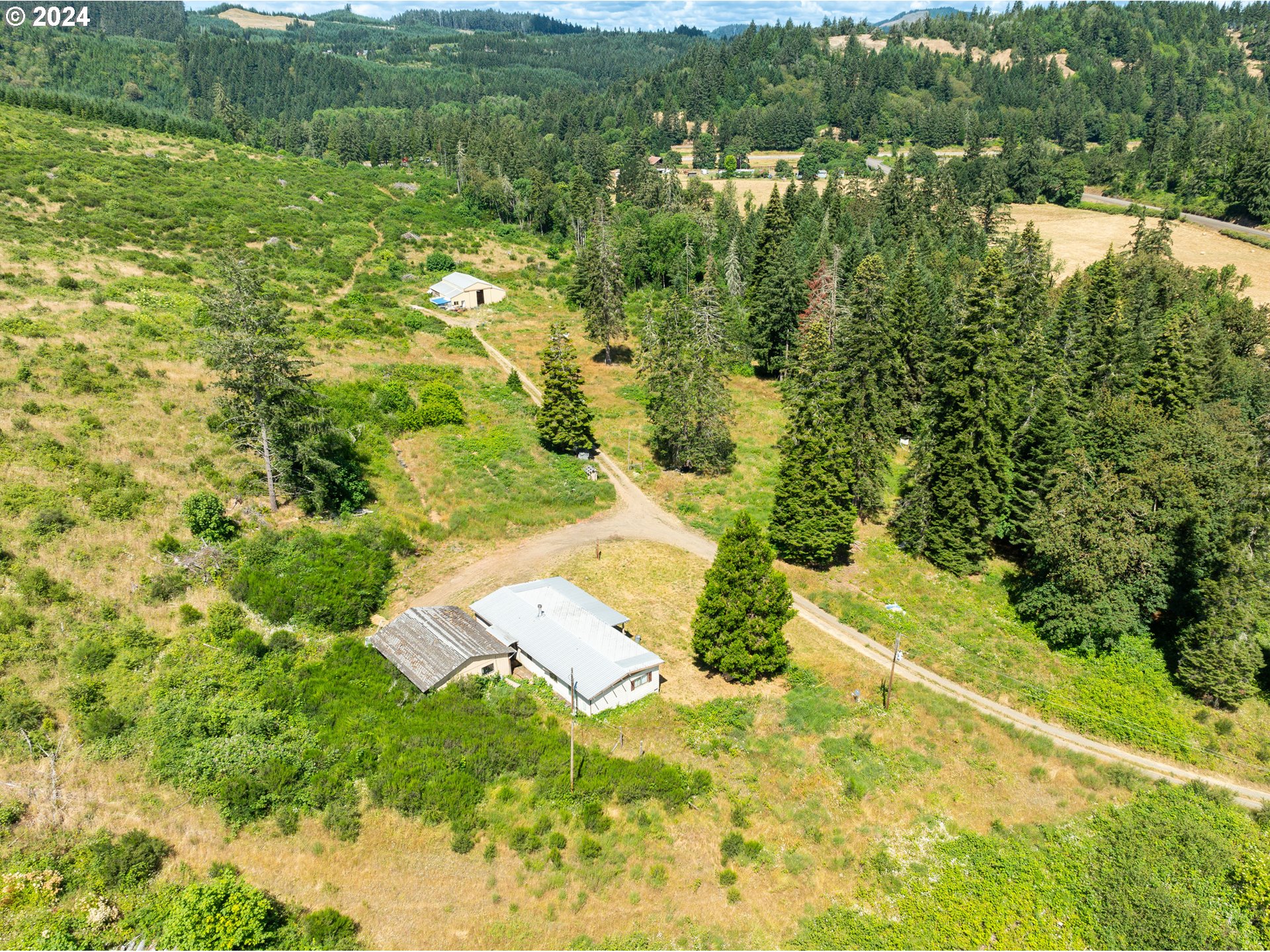 699 Cox Road Yoncalla, OR 97499 - Photo 3 of 35 a view of a forest with a lake
