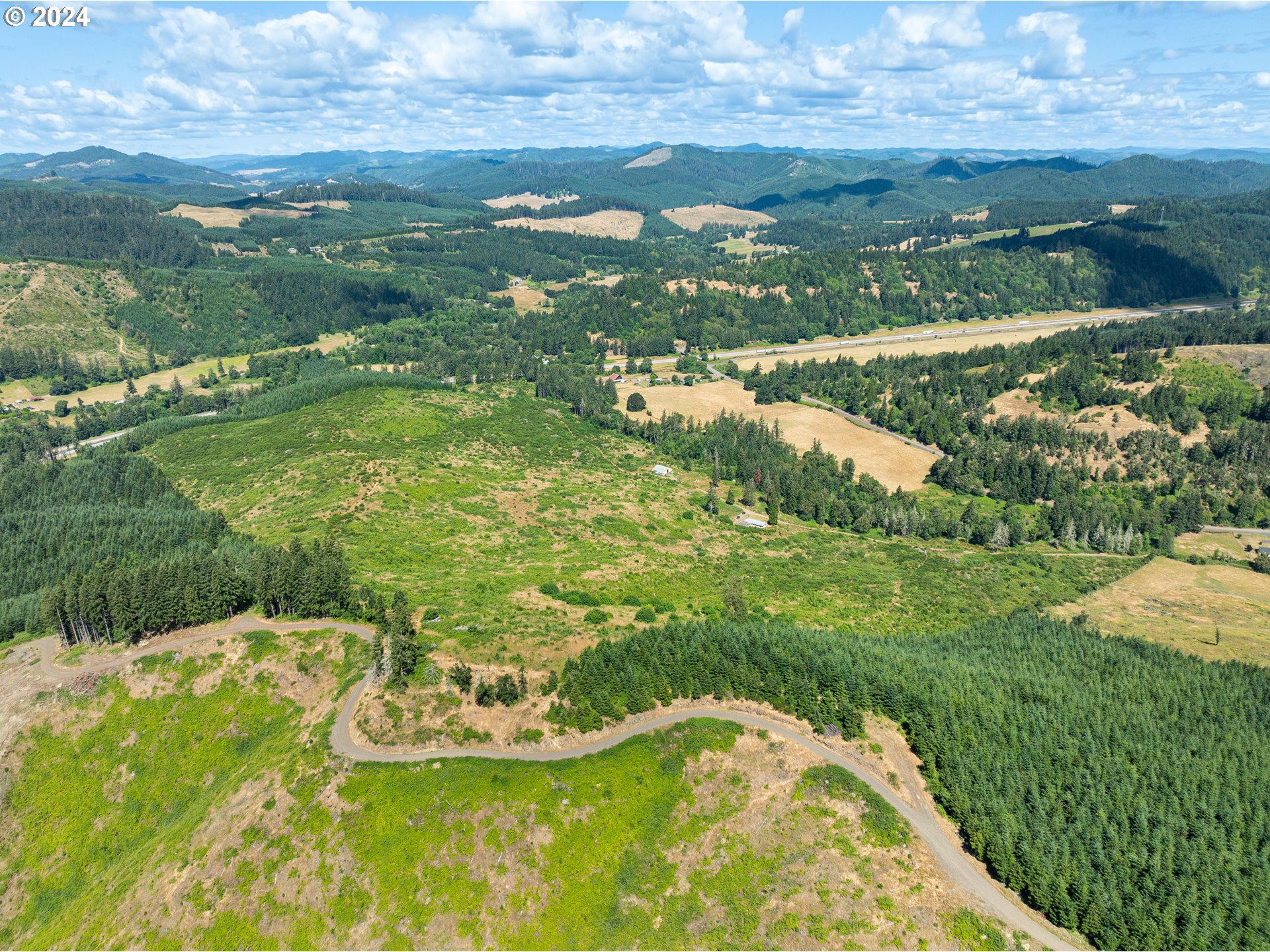 699 Cox Road Yoncalla, OR 97499 - Photo 31 of 35 a view of a lake from a yard