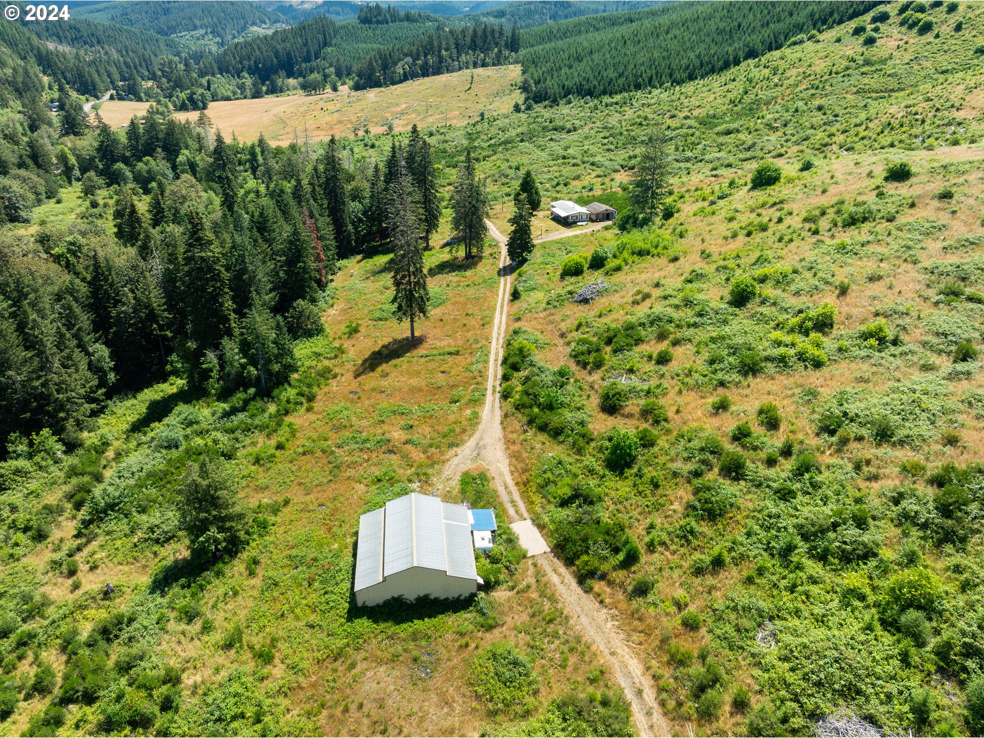 699 Cox Road Yoncalla, OR 97499 - Photo 6 of 35 a view of a yard with plants