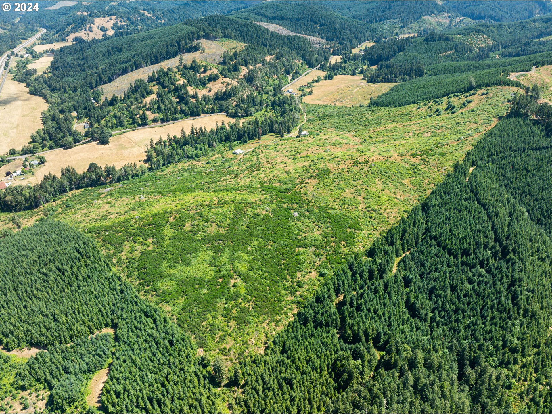 699 Cox Road Yoncalla, OR 97499 - Photo 7 of 35 a view of a garden with a flower