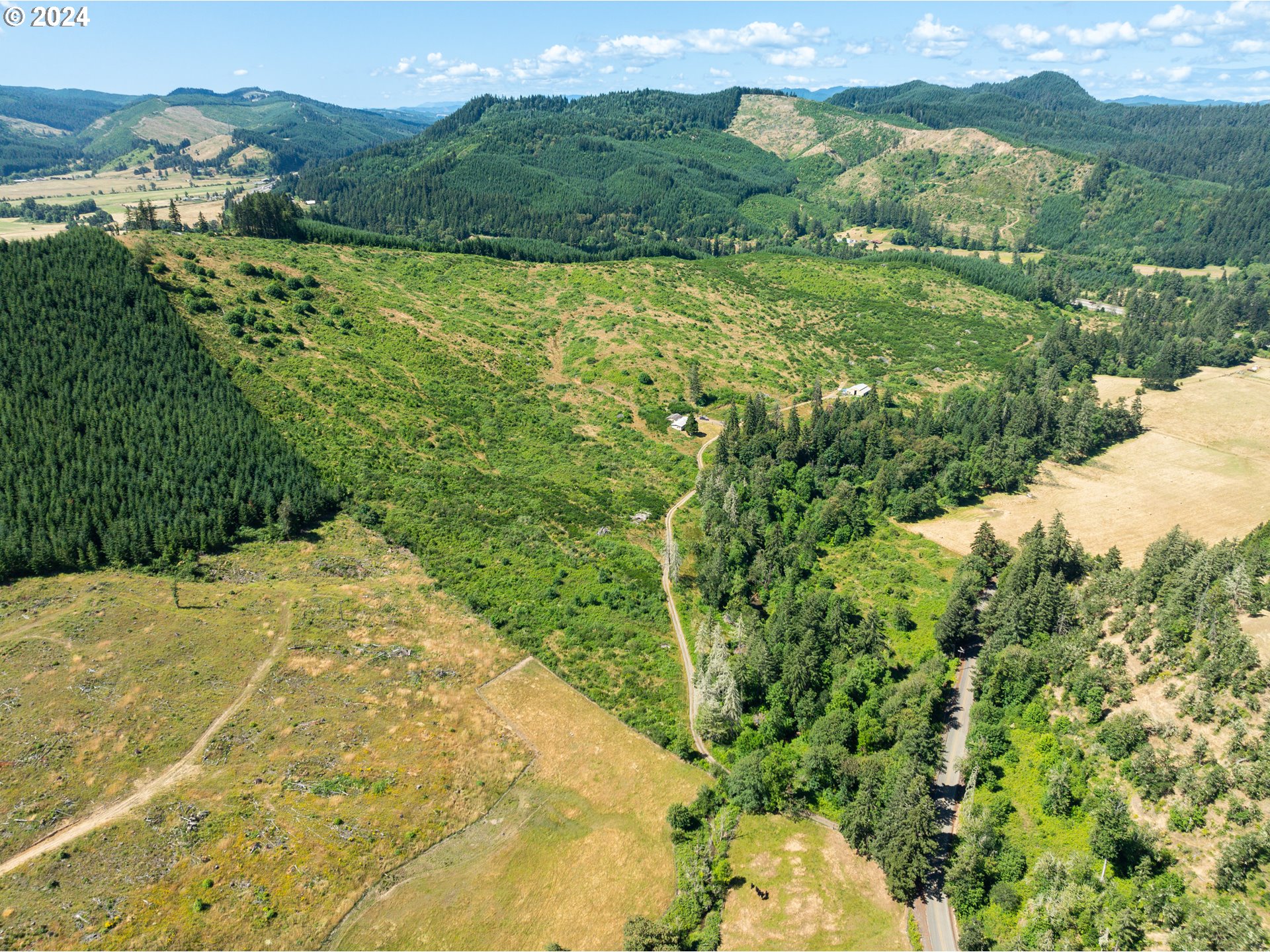 699 Cox Road Yoncalla, OR 97499 - Photo 9 of 35 a view of a lush green hillside and a houses