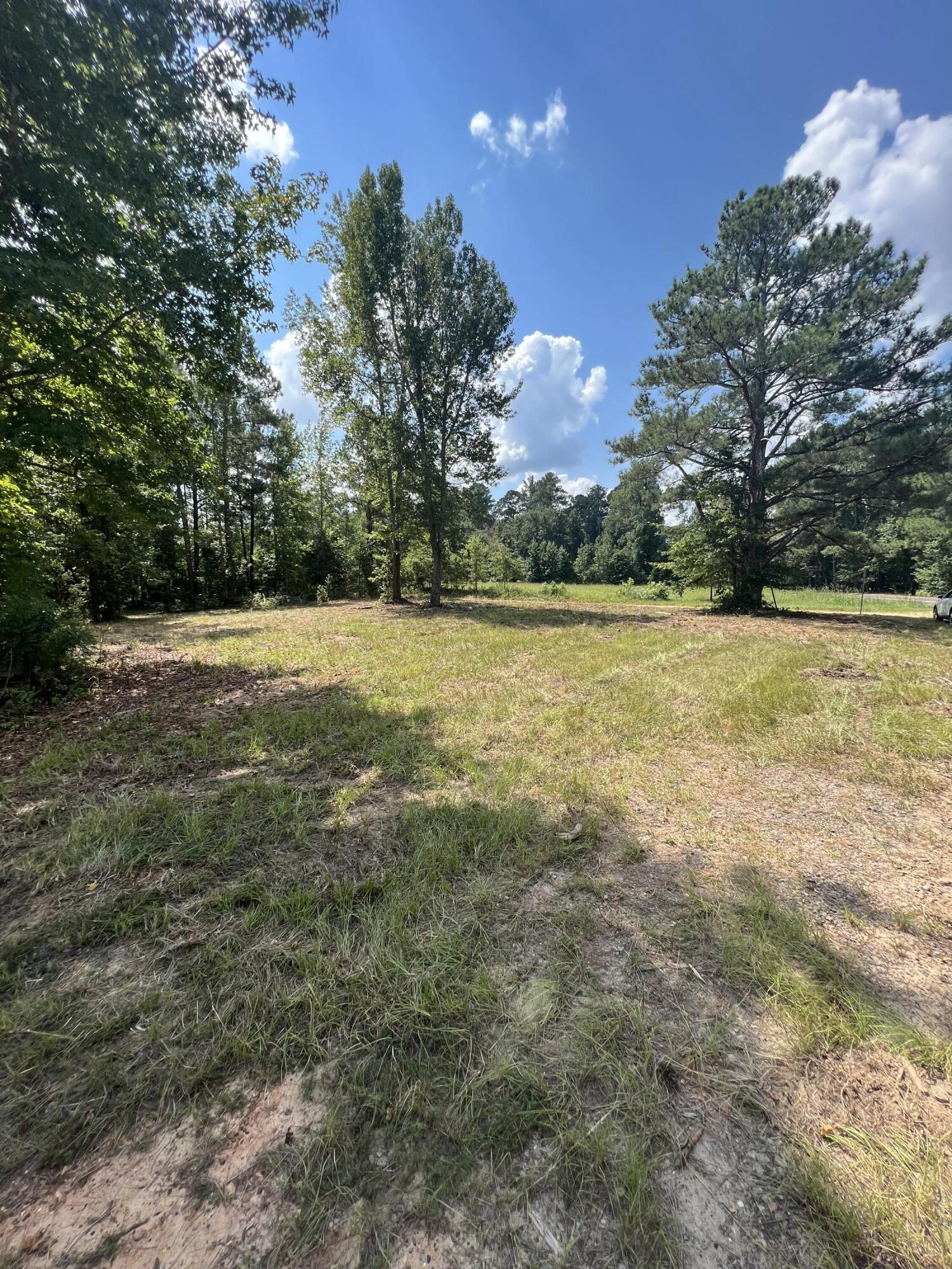 2138 Poor Boy Road Leesville, SC 29070 - Photo 5 of 11