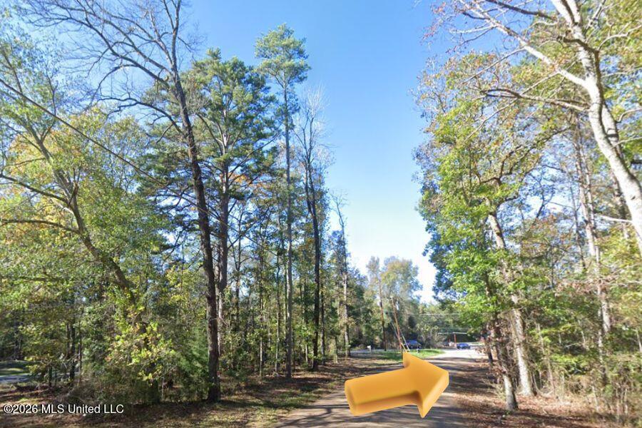 8 Holiday Road Brandon, MS 39042 - Photo 2 of 7 01