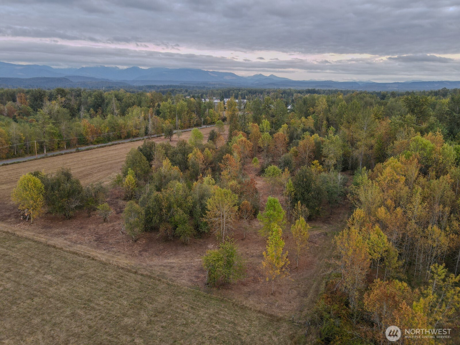 0 Mundy Loss Road East Buckley, WA 98321 - Photo 2 of 29 Gallery Image 2