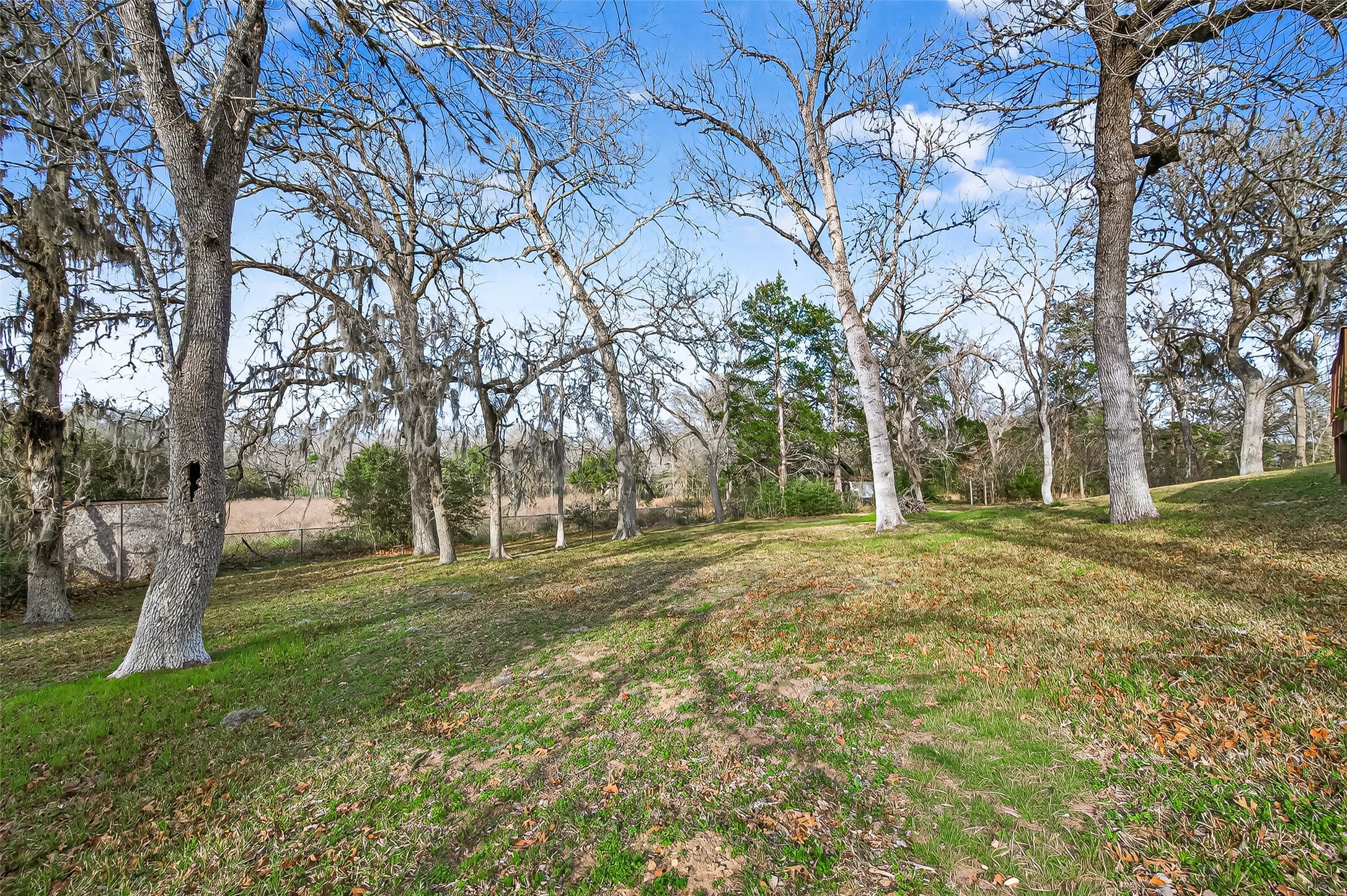 1047 Dungens Mill Road Columbus, TX 78934 - Photo 33 of 44