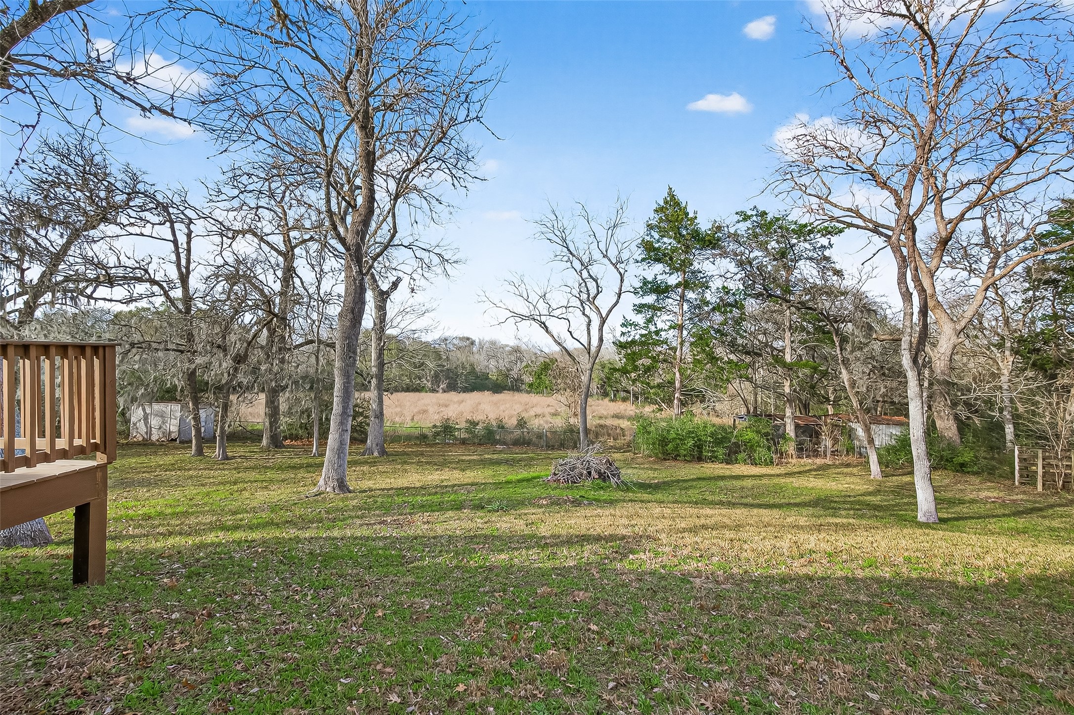 1047 Dungens Mill Road Columbus, TX 78934 - Photo 34 of 44 a view of a tree in a yard