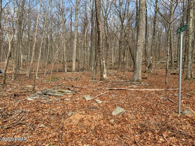 Lot 644 Woodcock Road Bushkill, PA 18324 - Photo 2 of 4