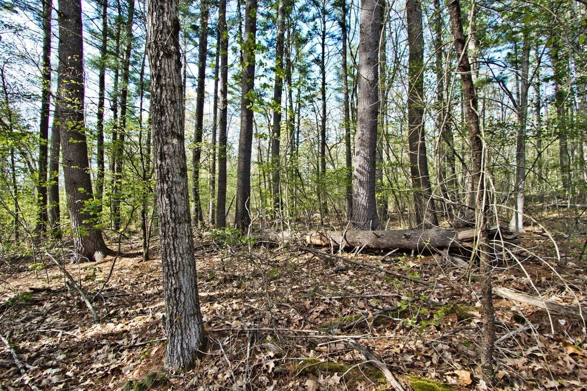 Lot B Kiwanis Beach Road Upton, MA 01568 - Photo 2 of 10 Gallery Image 2