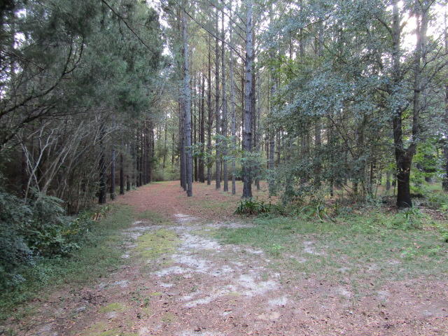 1603 Valee Road Westville, FL 32464 - Photo 12 of 17 Gallery Image 12