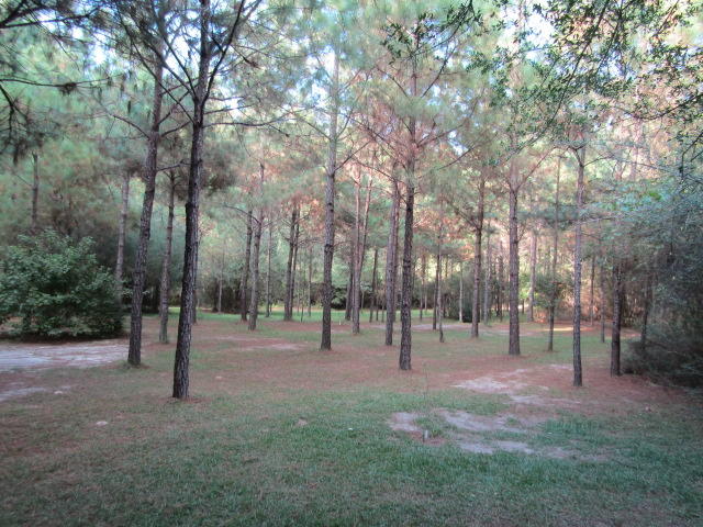 1603 Valee Road Westville, FL 32464 - Photo 13 of 17 Gallery Image 13