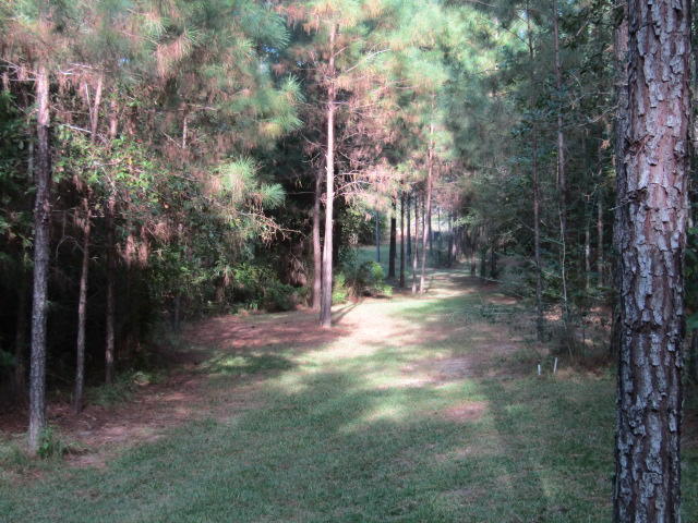 1603 Valee Road Westville, FL 32464 - Photo 15 of 17 Gallery Image 15