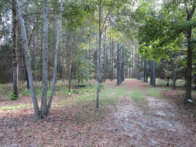 1603 Valee Road Westville, FL 32464 - Photo 17 of 17 Gallery Image 17