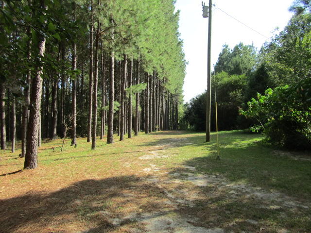 1603 Valee Road Westville, FL 32464 - Photo 4 of 17 Gallery Image 4