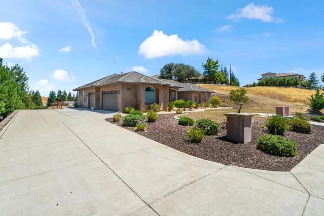a view of a hallway with wooden floor and a potted plant