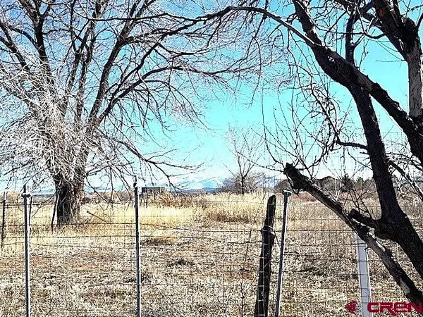a backyard of a house with large trees and wooden fence