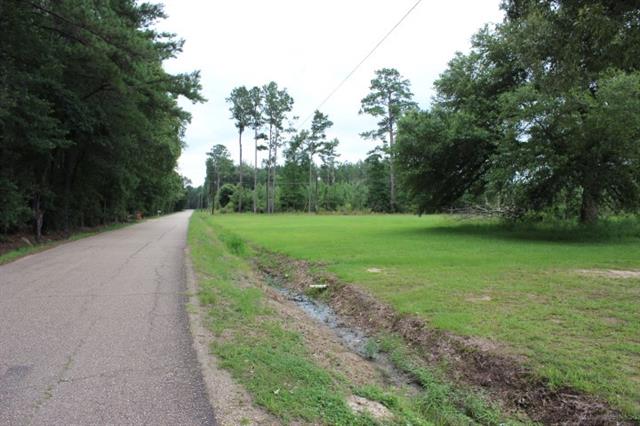 35075 Starnes Road Independence, LA 70443 - Photo 8 of 17