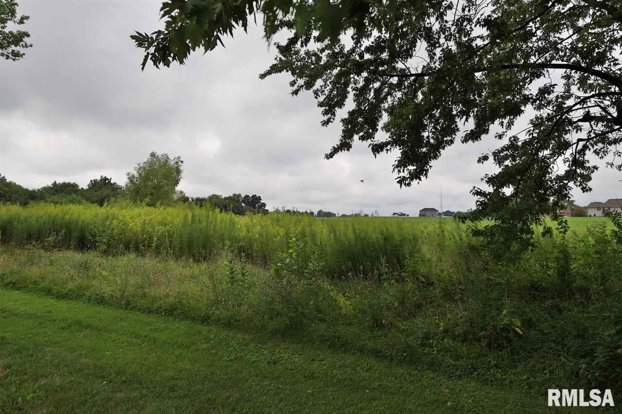 19245 Springfield Road Groveland, IL 61535 - Photo 24 of 29