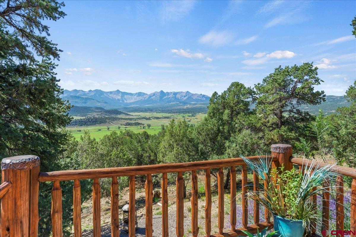 120 Last Stand Road Ridgway, CO 81432 - Photo 3 of 35 Gallery Image 3