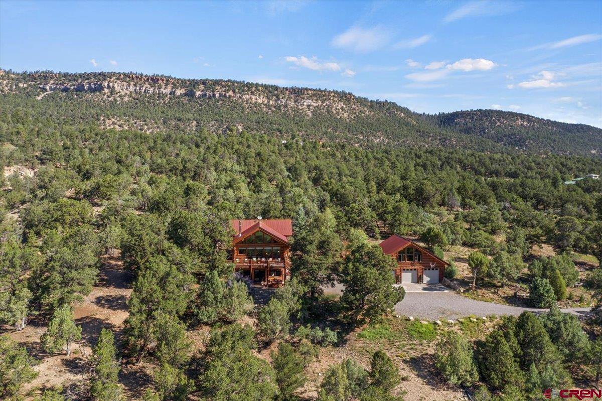 120 Last Stand Road Ridgway, CO 81432 - Photo 32 of 35 Gallery Image 32