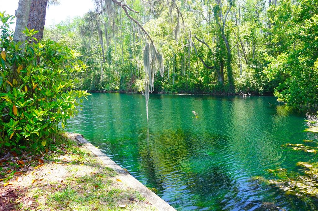 1873 Mazo Manor Road, Unit T9 Lutz, FL 33558 - Photo 3 of 42