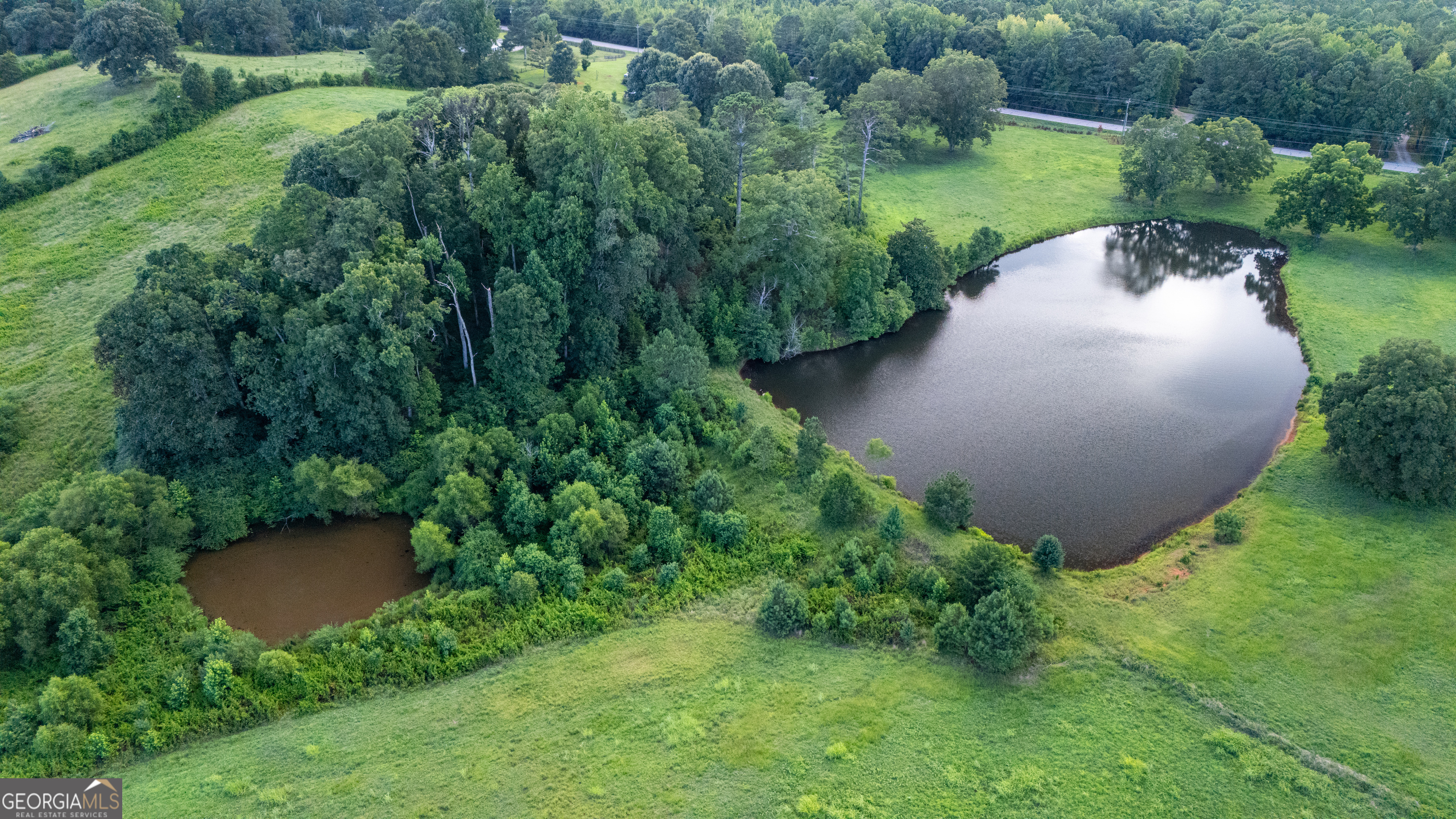 0 Whitesville Road LaGrange, GA 30240 - Photo 11 of 21 an aerial view of a house with pool and garden