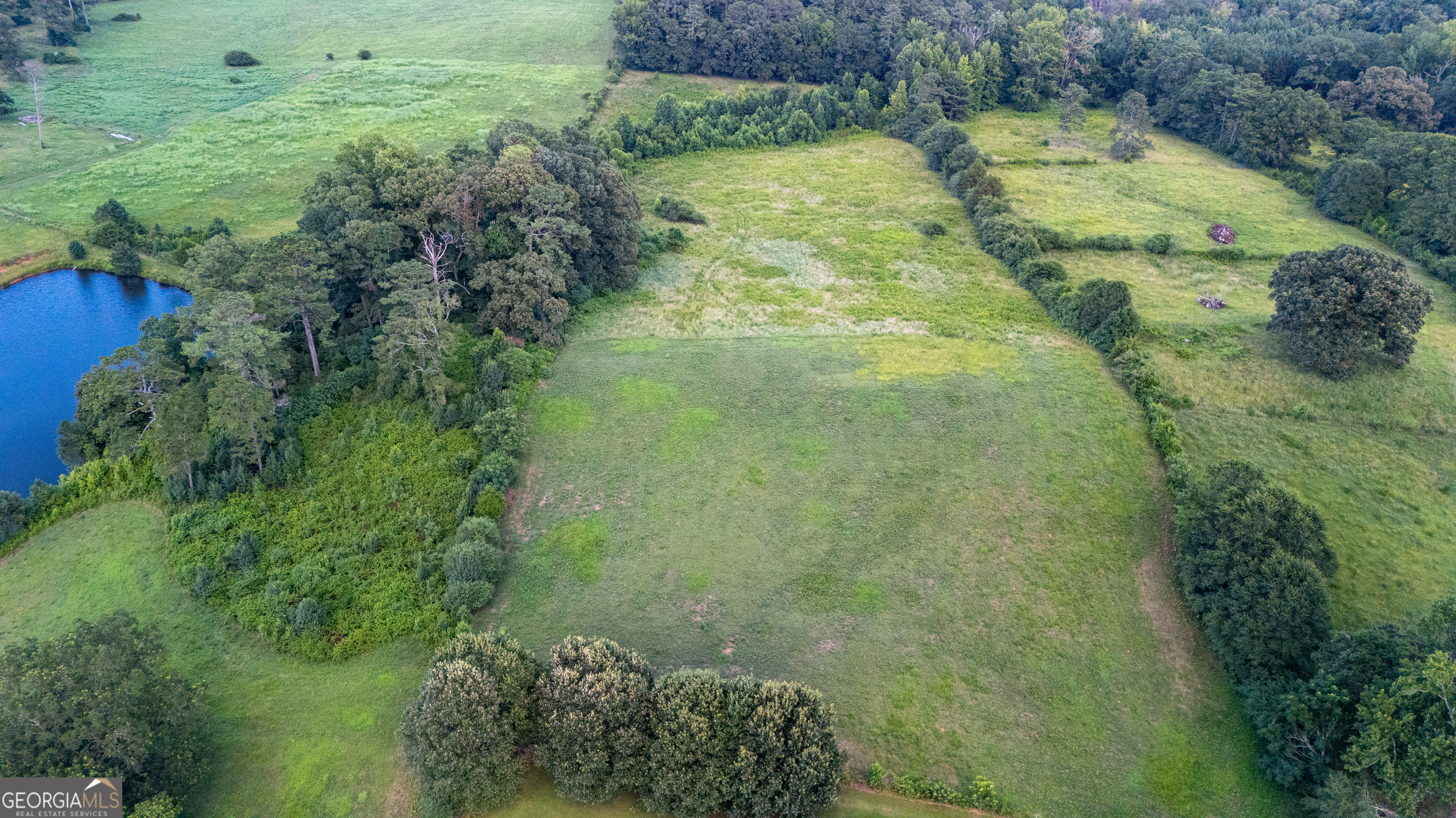 0 Whitesville Road LaGrange, GA 30240 - Photo 12 of 21 a view of a garden