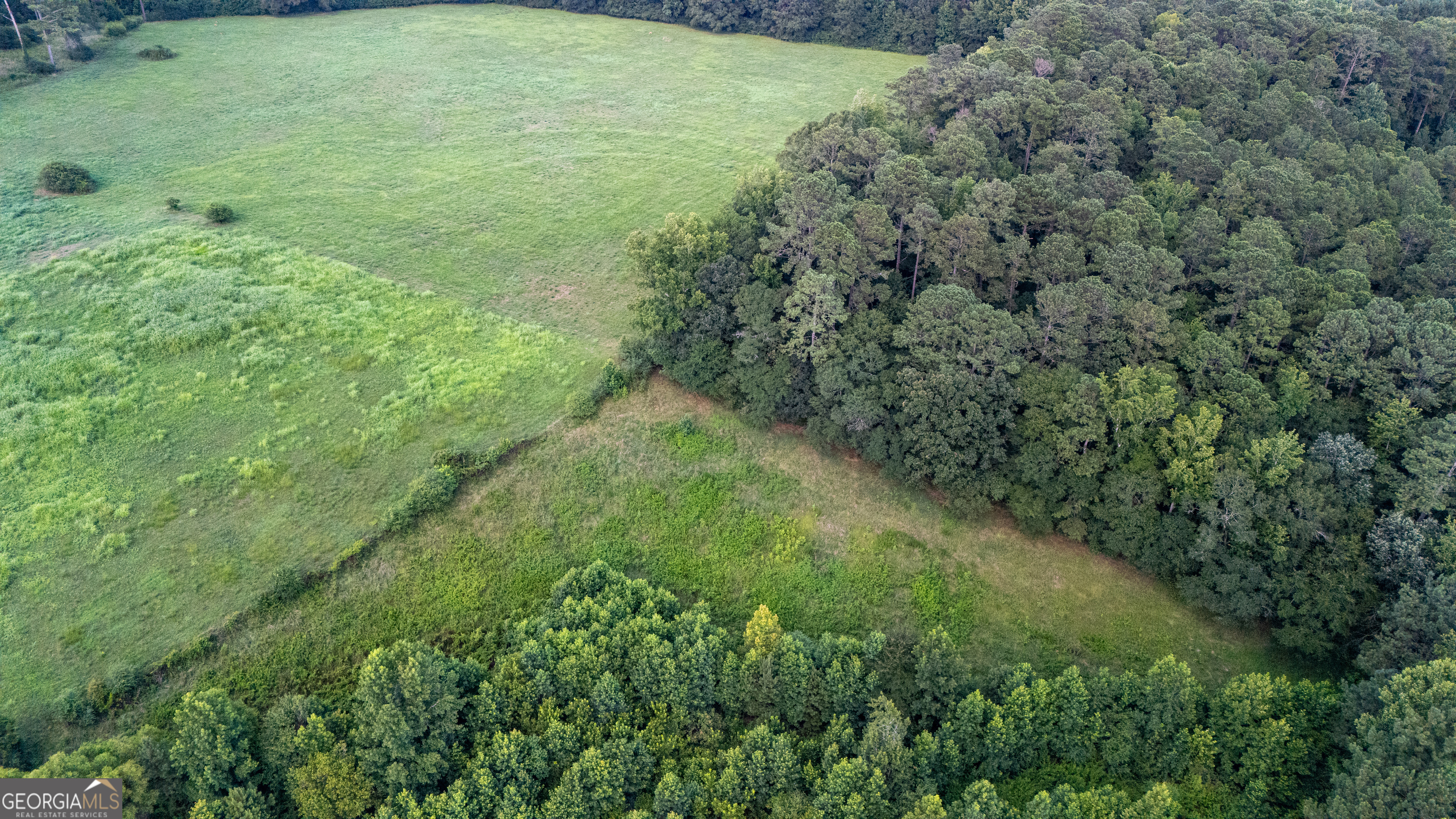 0 Whitesville Road LaGrange, GA 30240 - Photo 14 of 21 a view of a big yard with lots of green space and deers