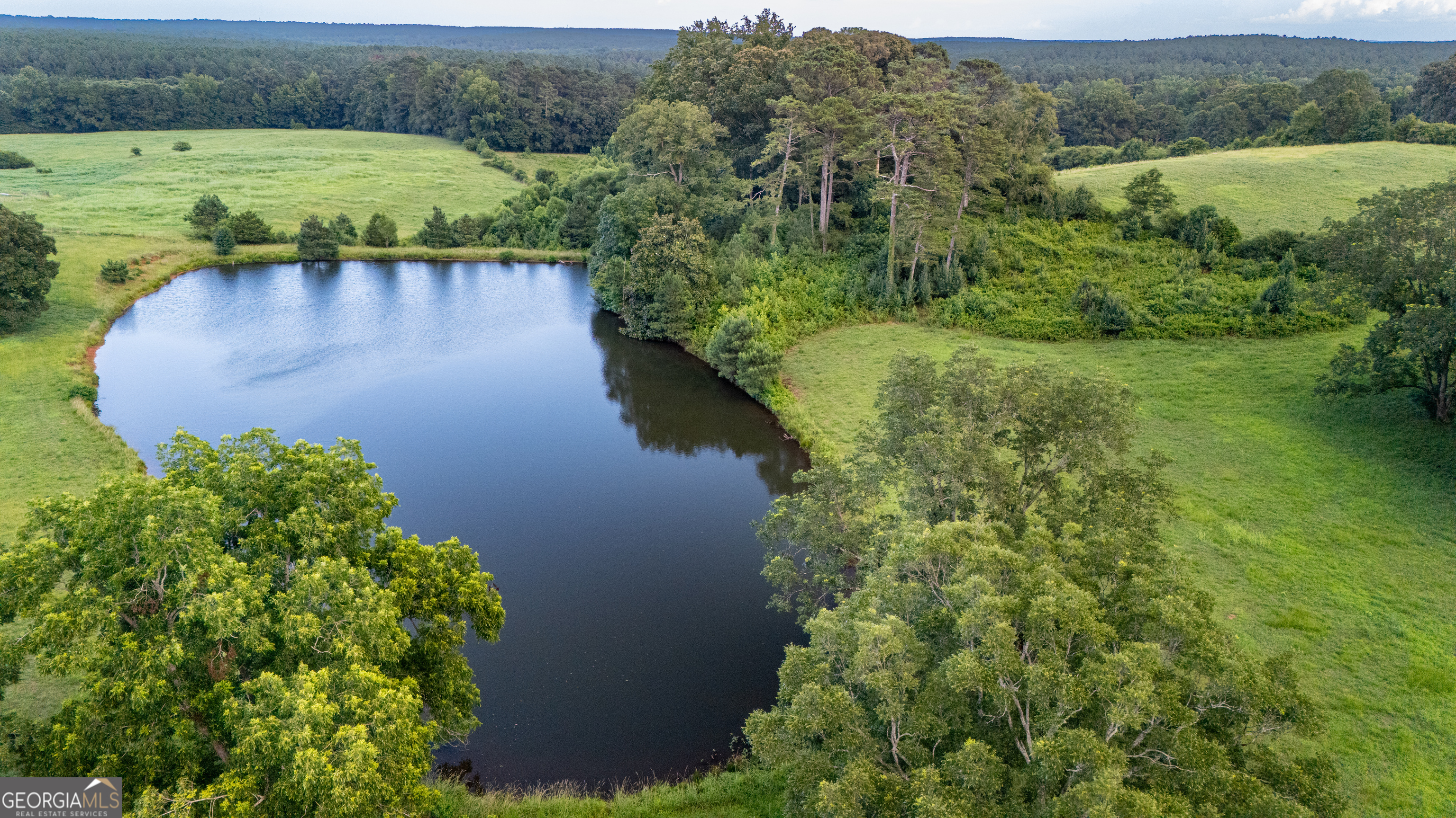 0 Whitesville Road LaGrange, GA 30240 - Photo 8 of 21 an aerial view of a house with a yard and lake view