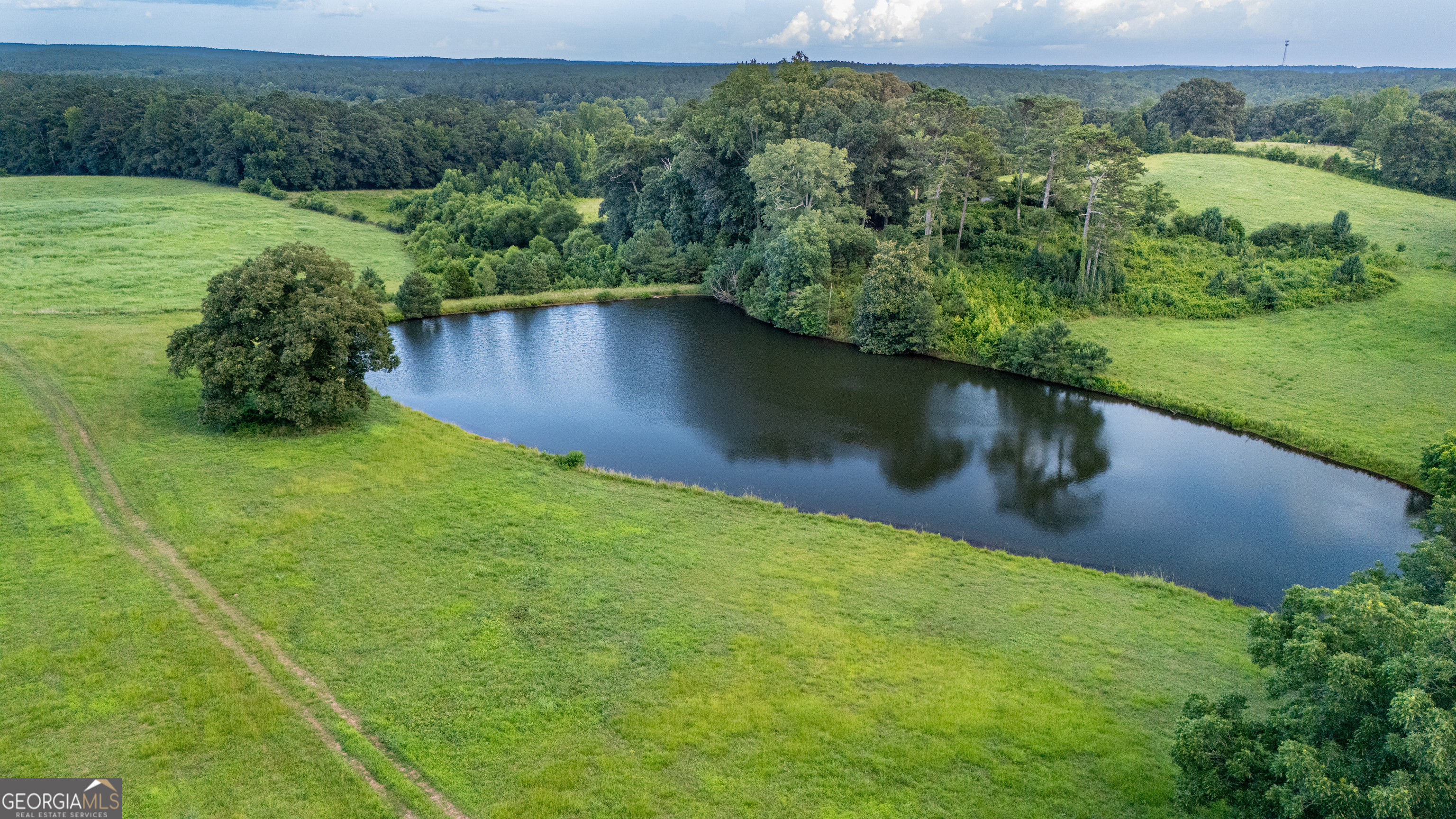 0 Whitesville Road LaGrange, GA 30240 - Photo 10 of 21 an aerial view of a houses with outdoor space and a lake view