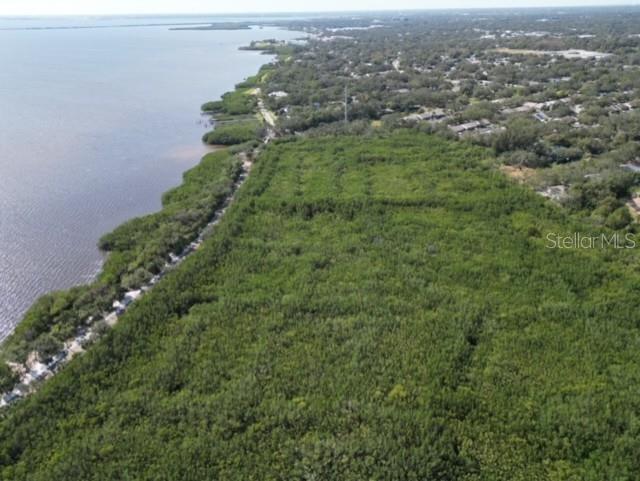 Irwin Street Safety Harbor, FL 34695 - Photo 10 of 14
