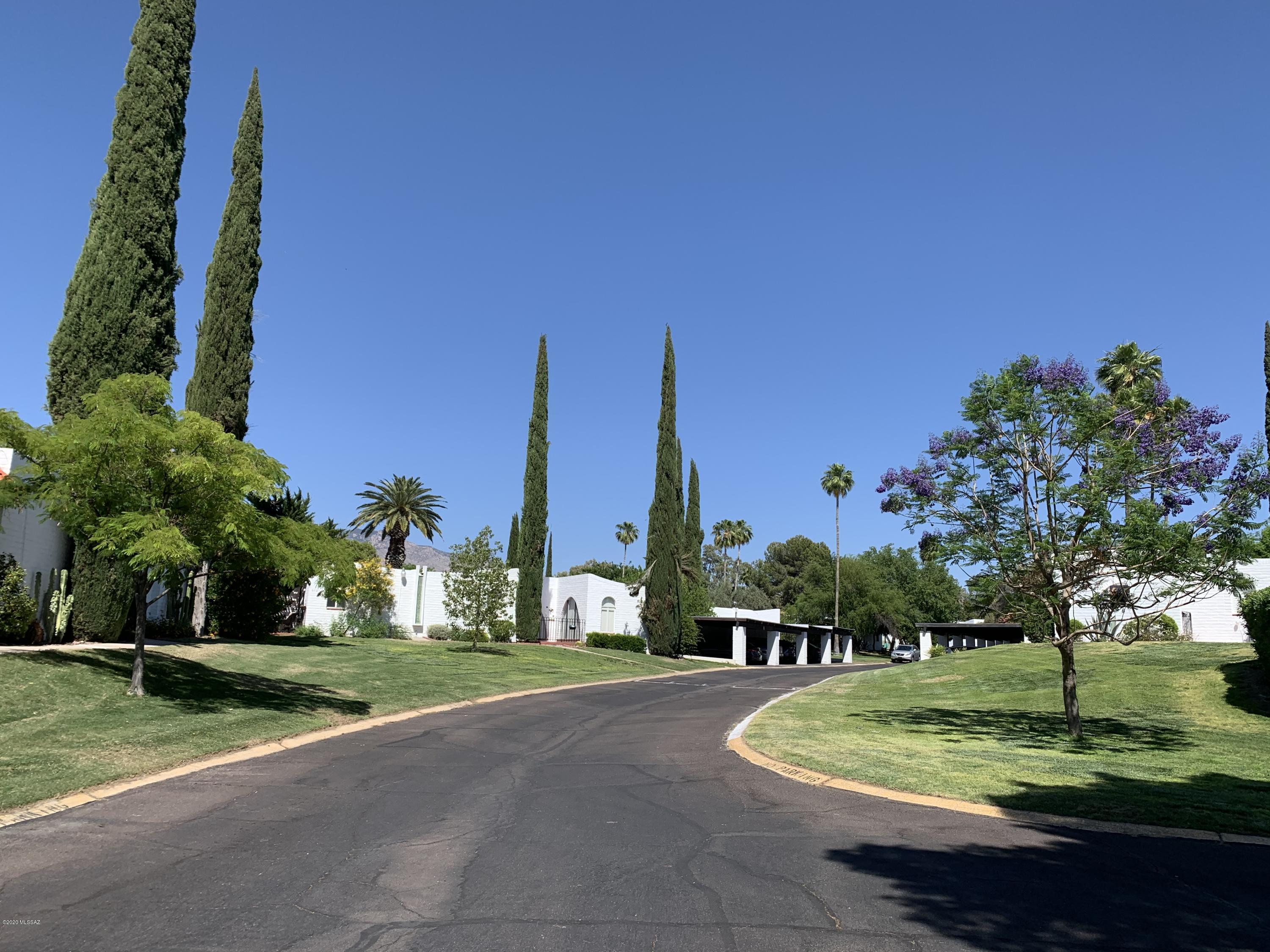 604 West Roller Coaster Road Tucson, AZ 85704 - Photo 49 of 50 Gallery Image 49