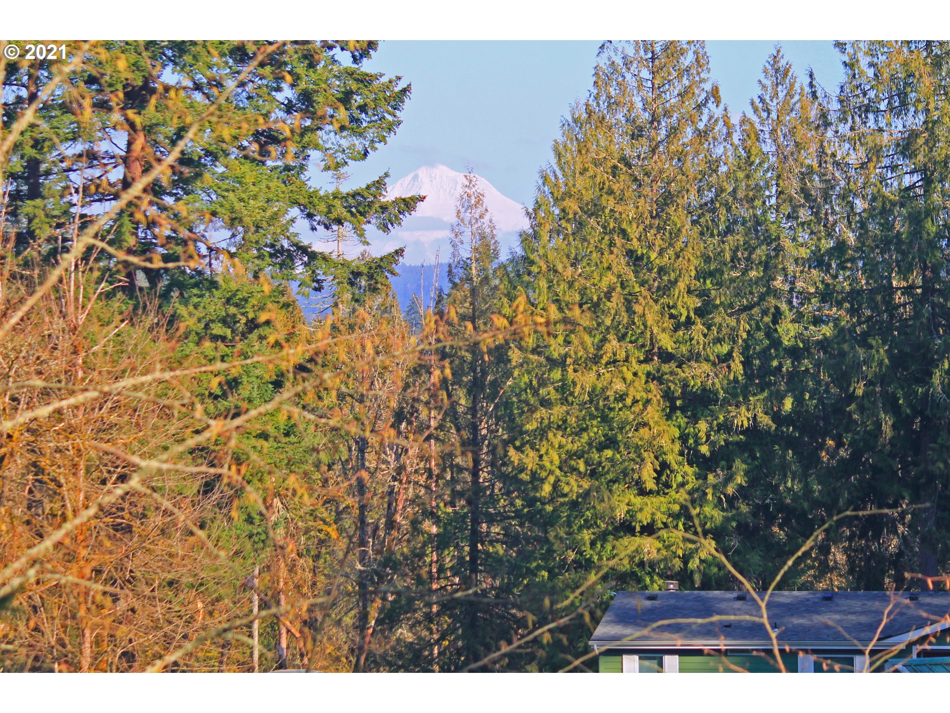 17508 South Palmer Road Oregon City, OR 97045 - Photo 3 of 32
