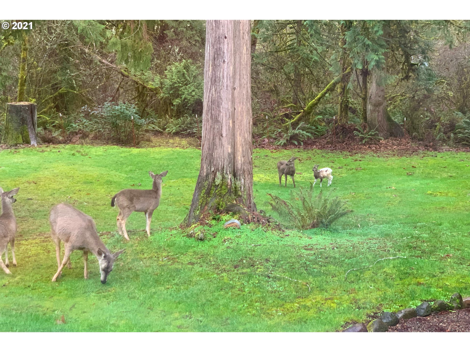 17508 South Palmer Road Oregon City, OR 97045 - Photo 32 of 32