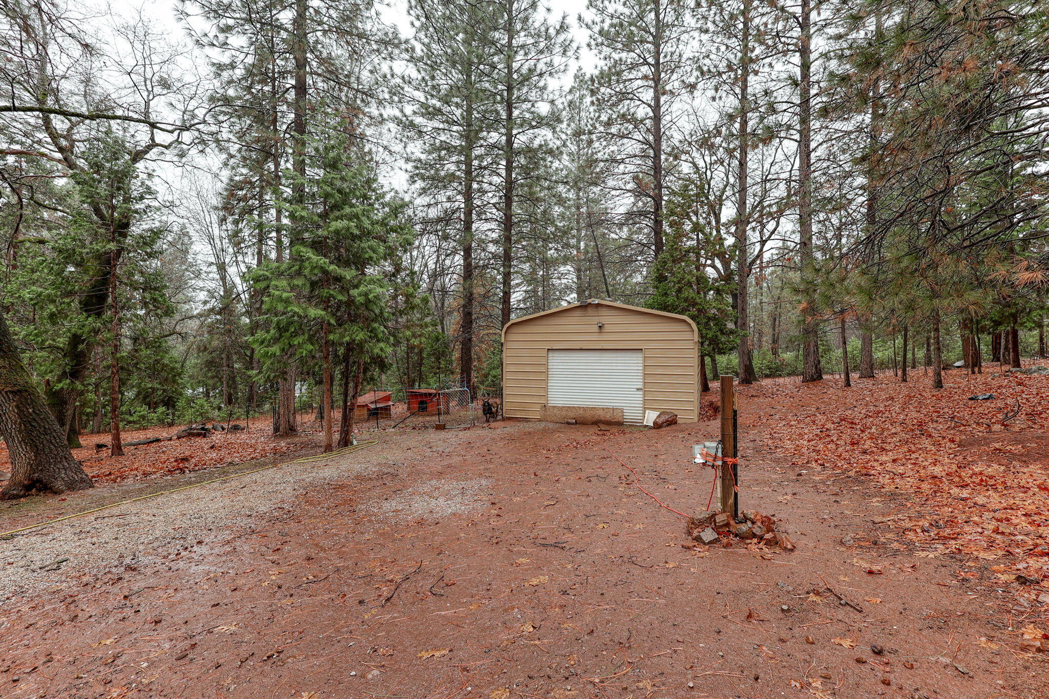 28275 Oak Run To Fern Road Oak Run, CA 96069 - Photo 37 of 42 43-web-or-mls-IMG_0284