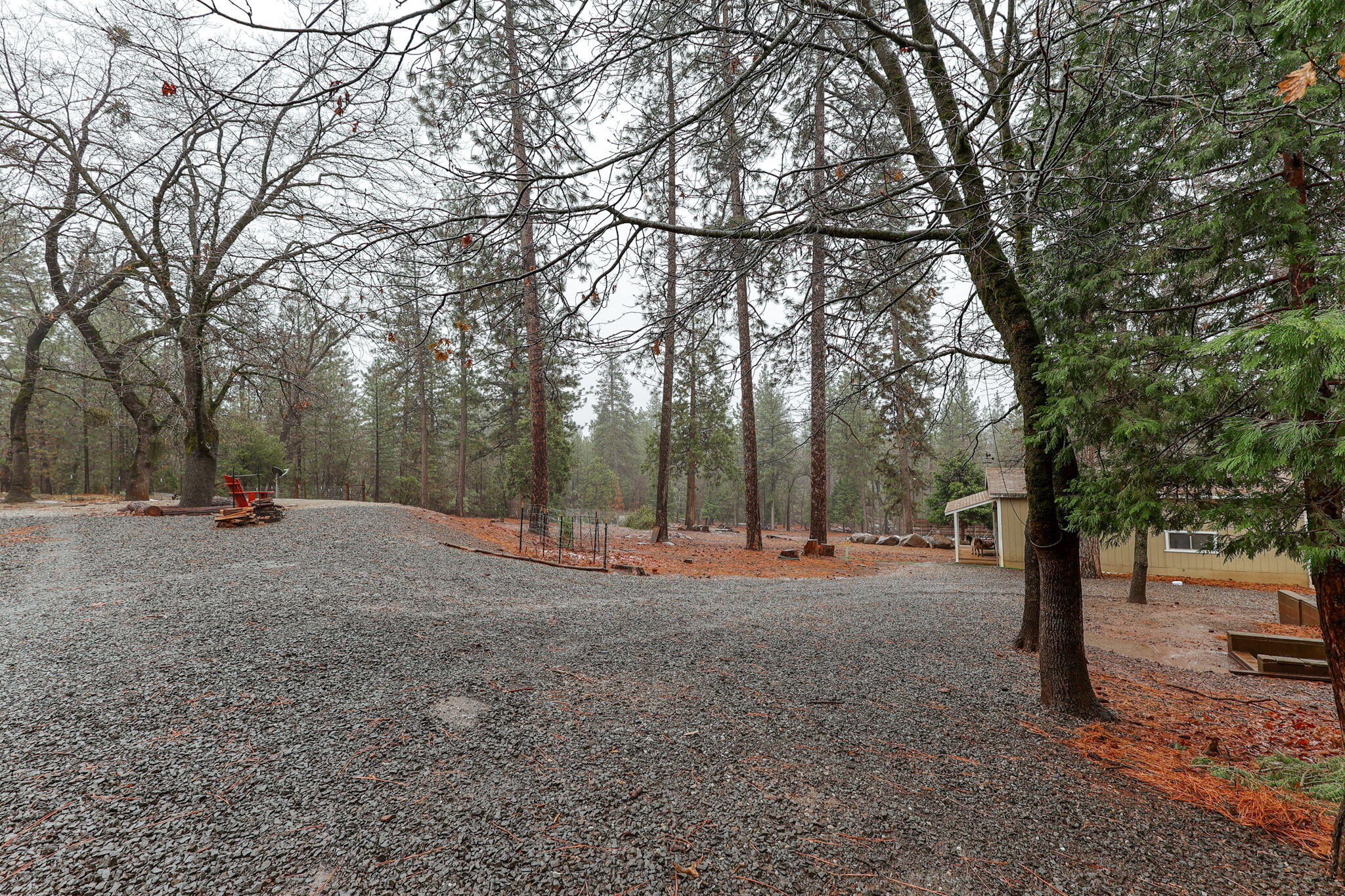 28275 Oak Run To Fern Road Oak Run, CA 96069 - Photo 38 of 42 40-web-or-mls-IMG_0269