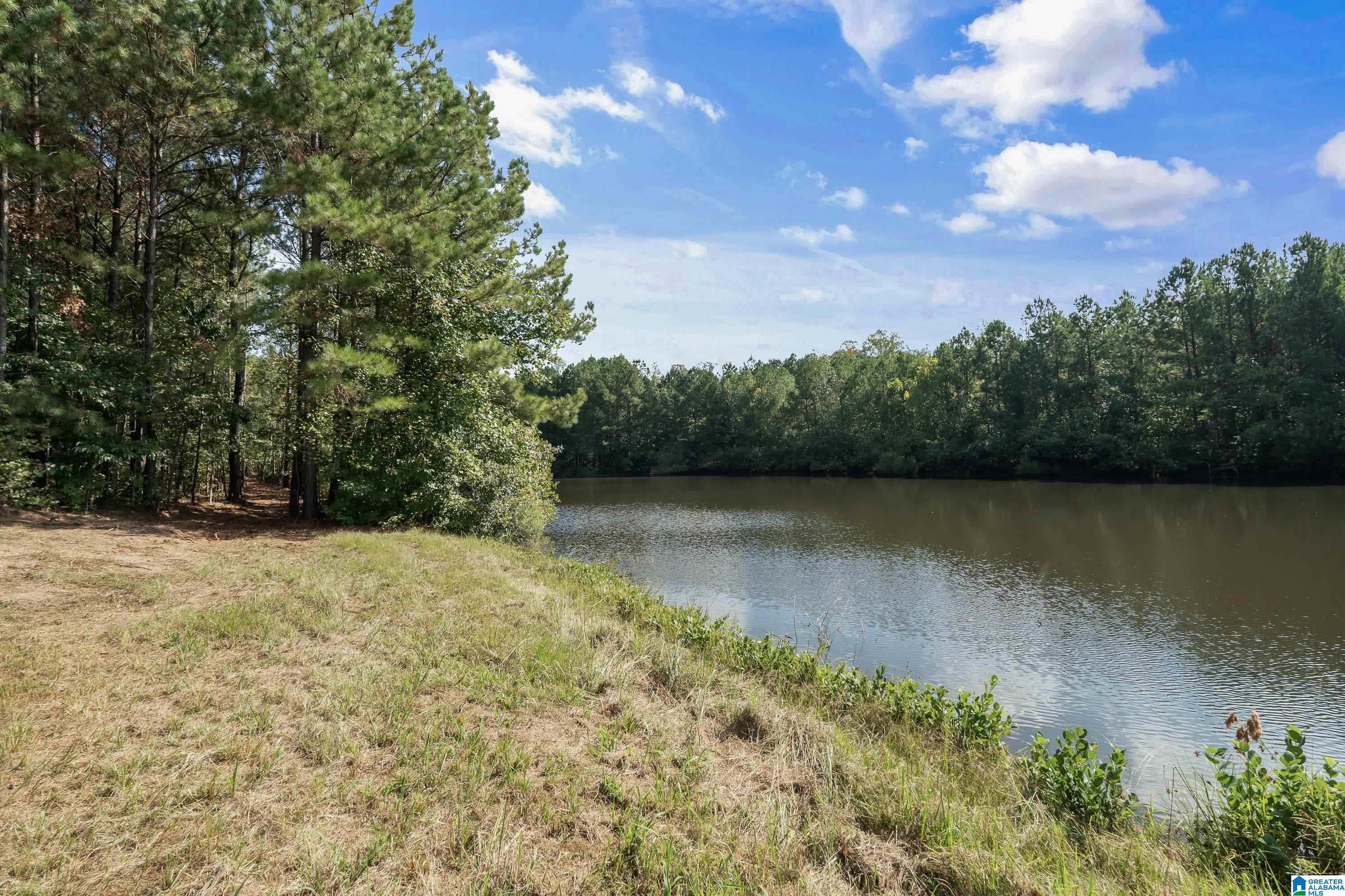 636 Foothills Trace Chelsea, AL 35043 - Photo 40 of 49