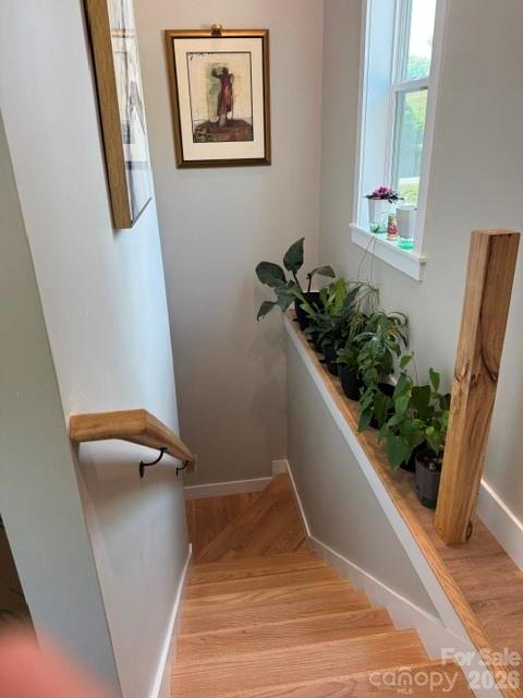1 Little Oak Road Leicester, NC 28748 - Photo 23 of 30