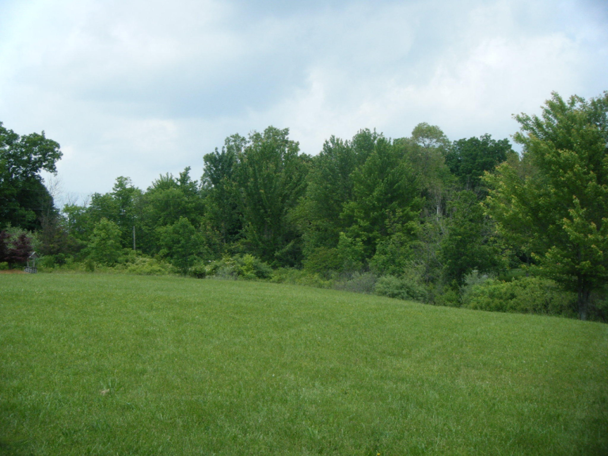 14769 Woodbridge Road Camden, MI 49232 - Photo 35 of 48 4
