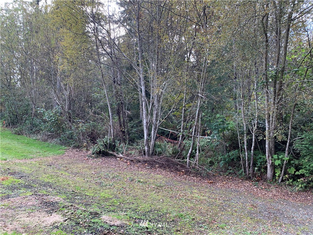 44 Misery Point Road Northwest Seabeck, WA 98380 - Photo 3 of 5 Gallery Image 3