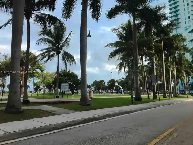 a view of a park with palm trees
