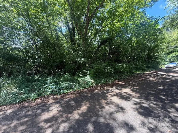a view of a forest with trees in the background