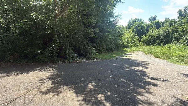 a view of a road with trees