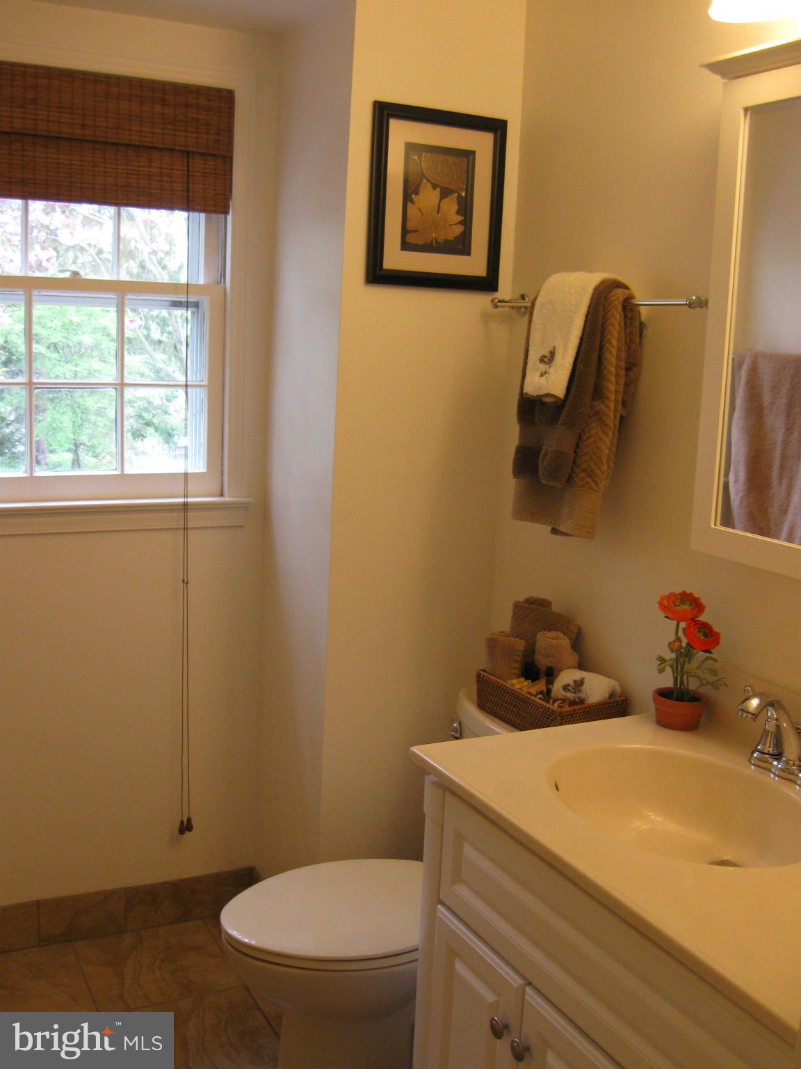 1700 Chester Mill Road Silver Spring, MD 20906 - Photo 23 of 30 Beautifully updated hall bath
