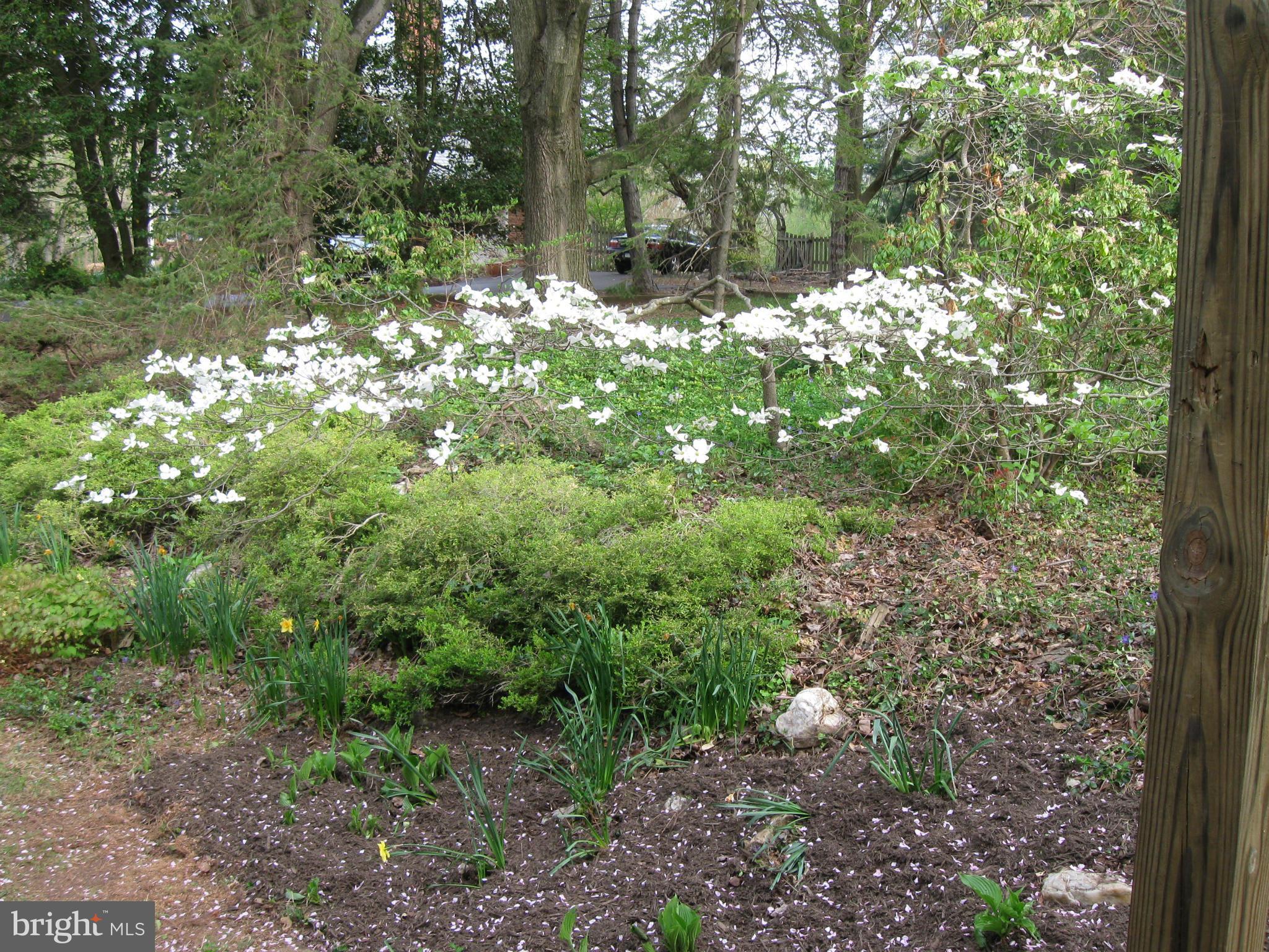 1700 Chester Mill Road Silver Spring, MD 20906 - Photo 29 of 30 Gorgeous landscaping