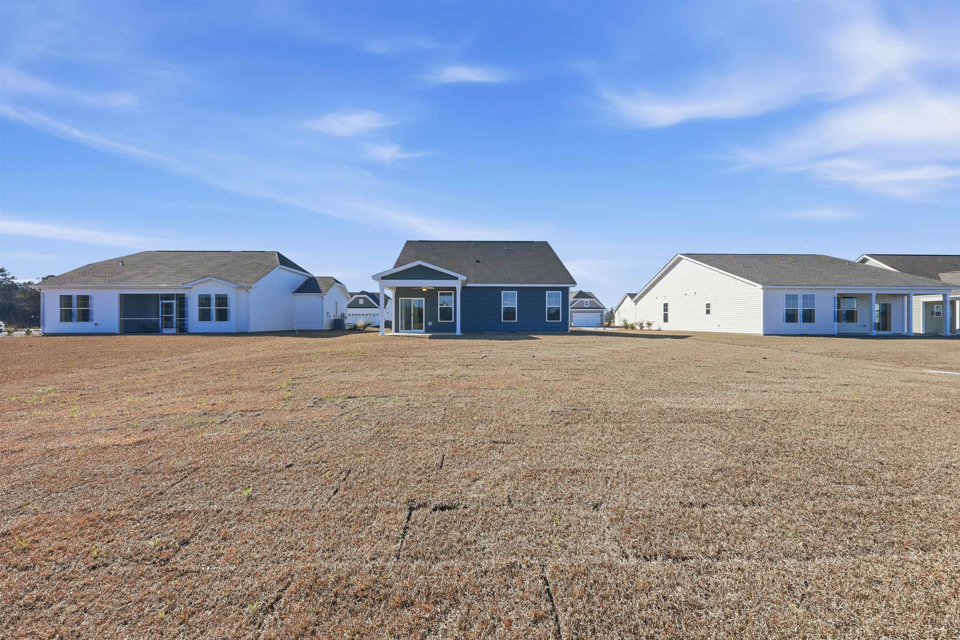 142 River Birch Drive Loris, SC 29569 - Photo 31 of 39 Back of house with a lawn