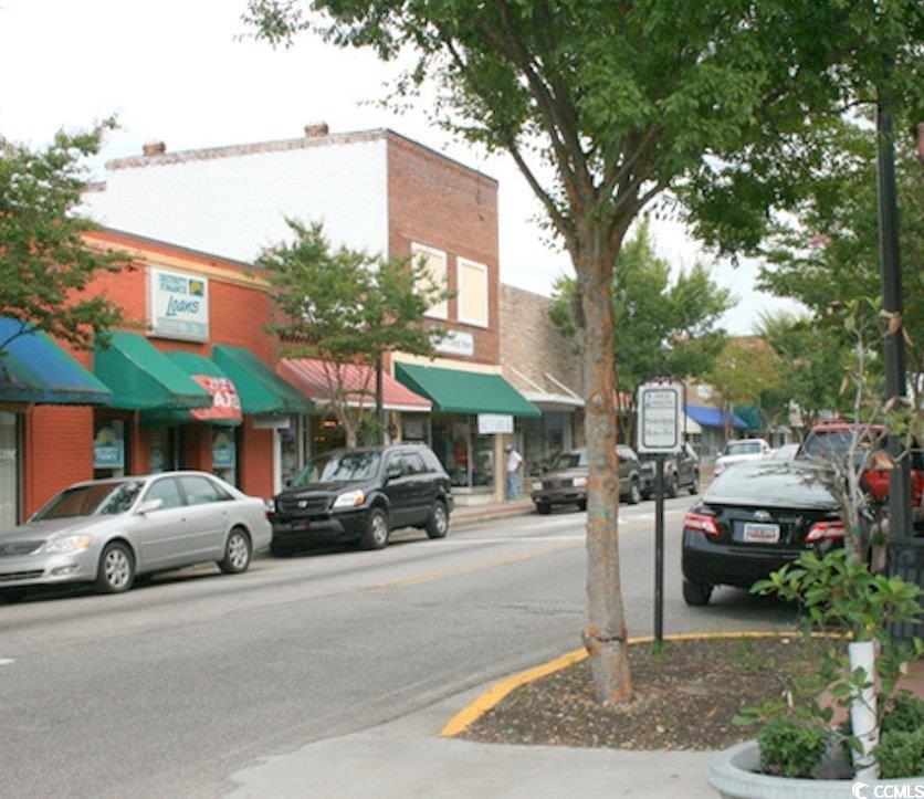 142 River Birch Drive Loris, SC 29569 - Photo 38 of 39 View of asphalt street with curbs